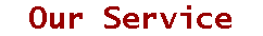 Our Service