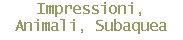 Impressioni,
Animali, Subaquea
